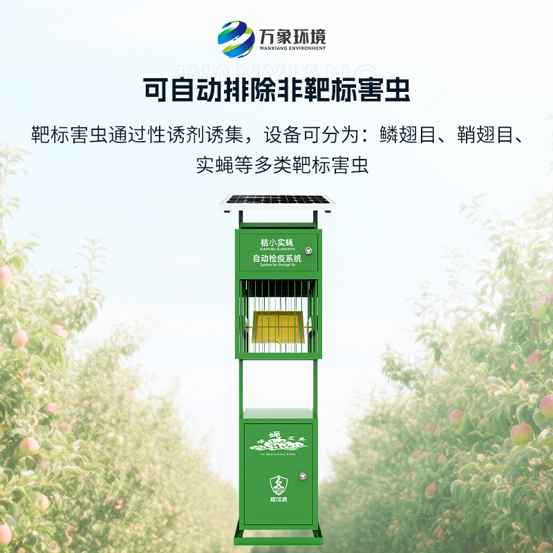 实蝇监测仪