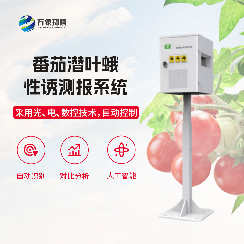 番茄潜叶蛾性诱测报系统