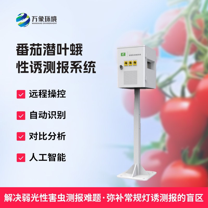 什么是番茄潜叶蛾性诱测报系统？