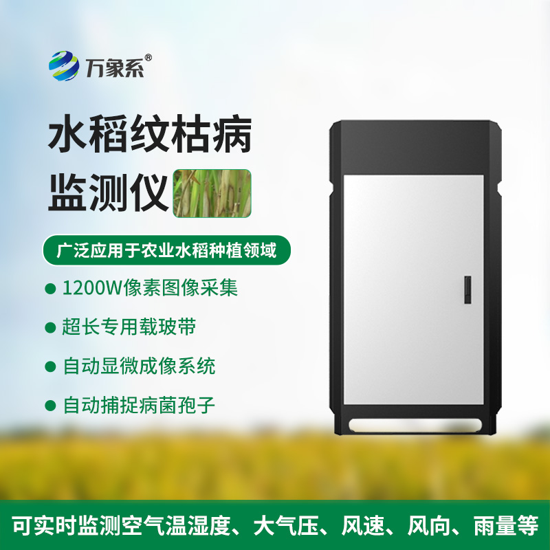 水稻纹枯病监测仪：稻田“双能守护者”的精准守护