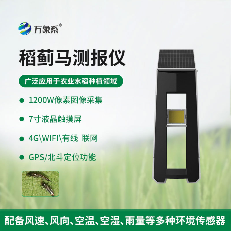 稻蓟马病监测系